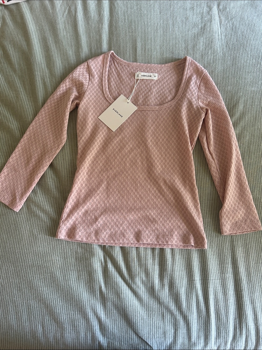 Everlane Dusty Rose Pointelle Scoop Neck Long Sleeve Top